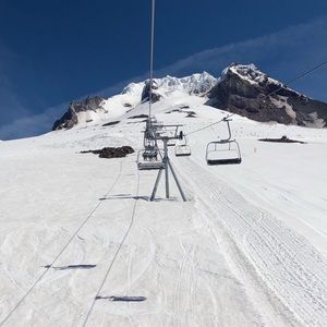 Meet your Posher, Lizzie